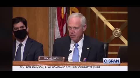 Senator Johnson Tears Gary Peters, Russia Hoax Apart in Voter Fraud Hearing