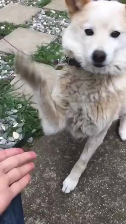 High five goes wrong