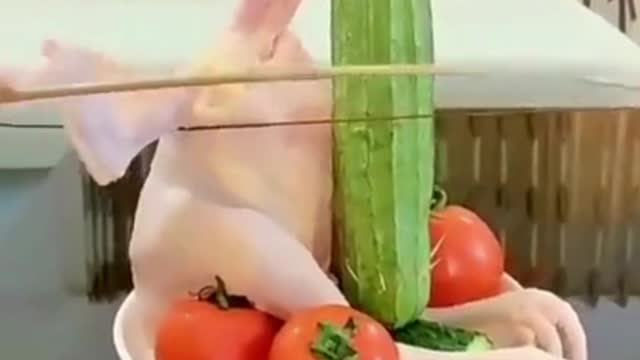 So funny and creative overload haha : ) Treanding videos #viral