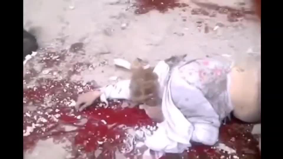 VIDUAL EVIDENCE Lugansk 2014 : Ukrainian Army’s brutal Massacre of Civilians