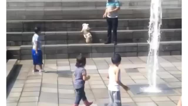 What the hell kinda fountain is this..? #funny Videos
