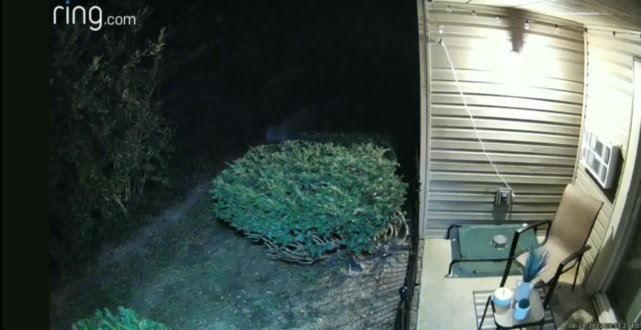 FAIRY spotted on camera near a house