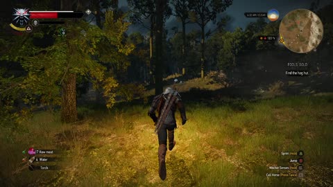 the witcher 3 wild hunt it just a pig 6