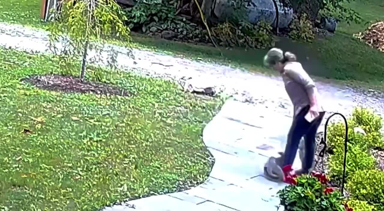 There was an epic fight between a rabid fox and a woman in the United States.