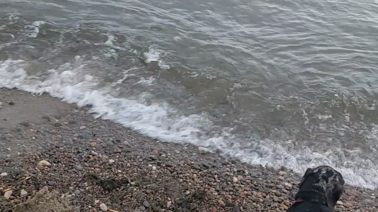 Wiener vs. Waves