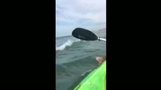 La Jolla Kayaking Clip