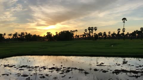 Farm at sunrise