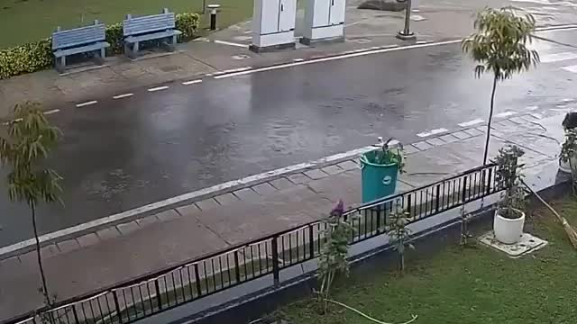 Do not take refuge under trees during lightning