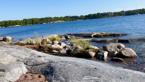 Stranden nedanför Dansberget i Sandhamn💦🐕💕