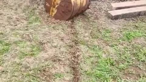 Little Kids Controlling an Excavator