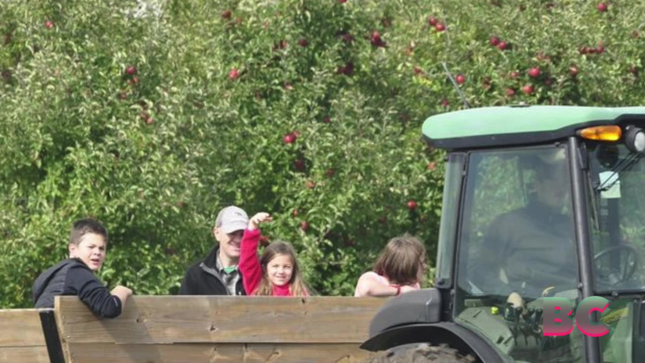 2 boys, both 12, killed on Halloween hayrides in warning to families