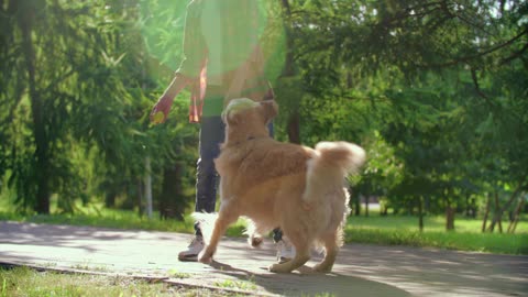 Boy playing with his dog