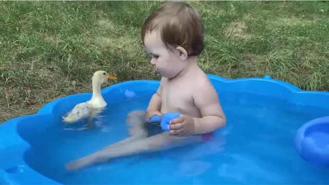 Funny Baby Reaction to Duckling in the Pool!