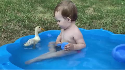 Funny Baby Reaction to Duckling in the Pool!