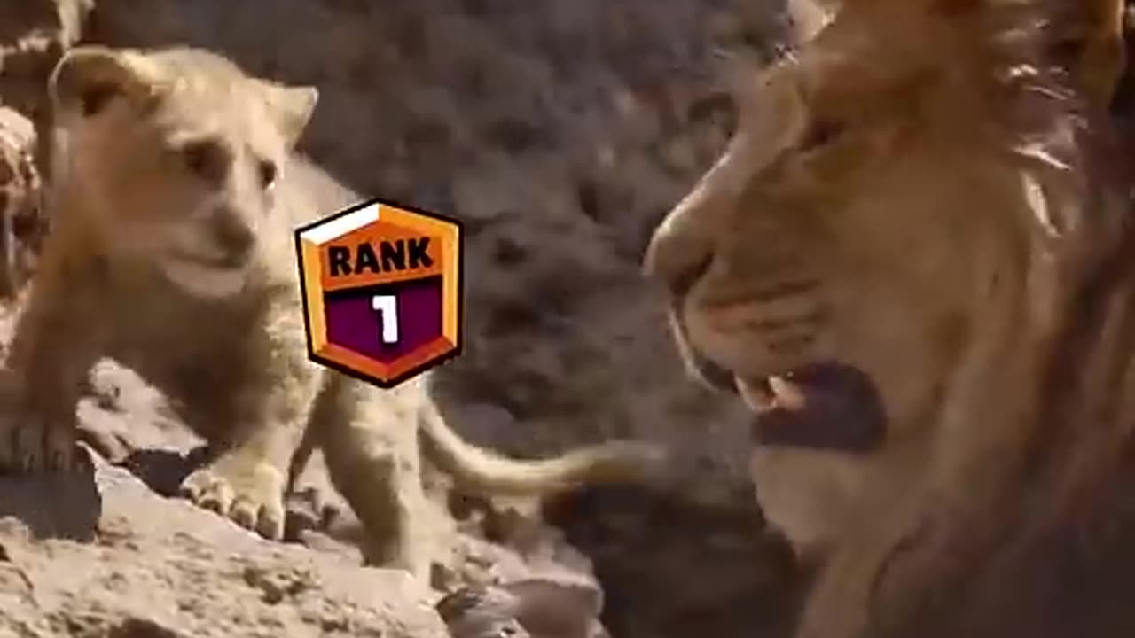 lion is very danger animal