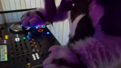 DJ Train Wreck