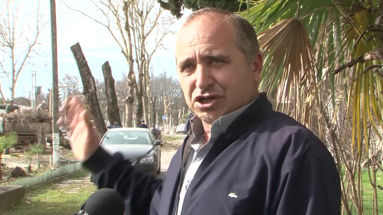 В Сухуми продолжается сезонная обрезка деревьев