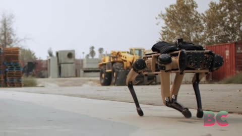 Department of Homeland Security to use robot dogs in raids