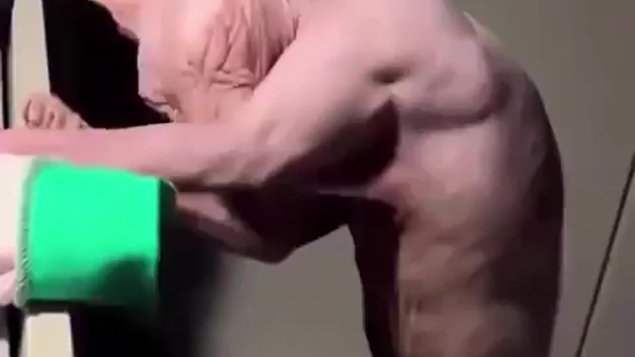 What would you name him?