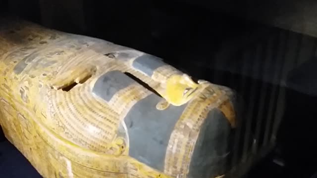 The Pharaonic Mummy