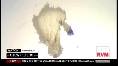 След извършен лабораторен преглед д-р Кари Мадеж открива шокиращи находки в шишенцата с ваксина