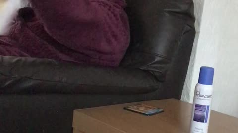 What is That Smell?