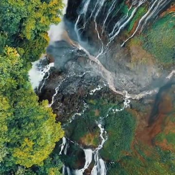 Pet Cats Beautiful Bird And Animal 4K HD Adorable Photography By Nature.