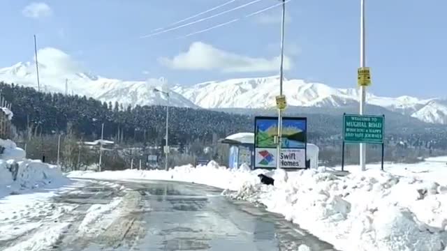 Beautiful Snow View of KASHMIR