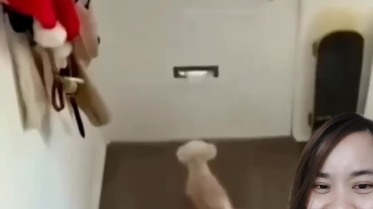 funny
