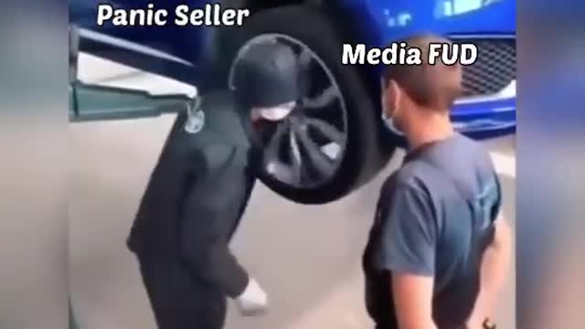Car funny video