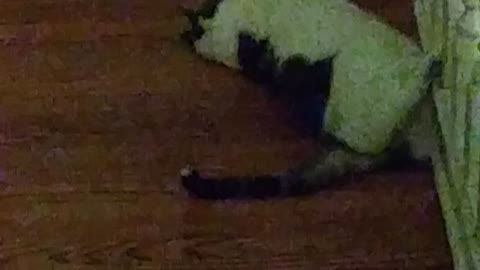 Snowflake lying around