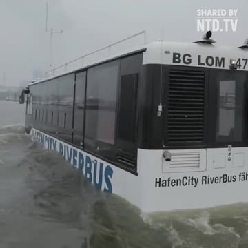 Xe đi bộ rồi đi bơi