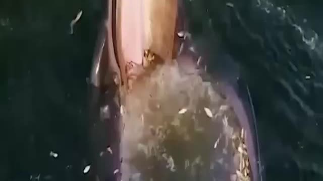 When your friend says take a bite