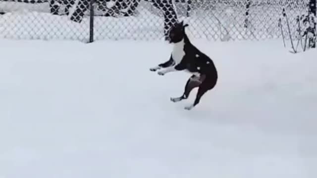 Catching Snowflakes