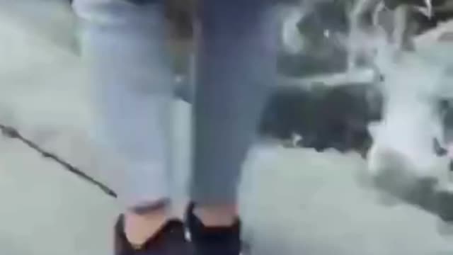 DOG FAILS TRY NOT TO LAUGH😂