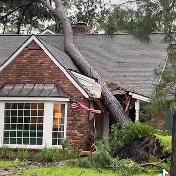 Result of Hurricane Beryl 2024