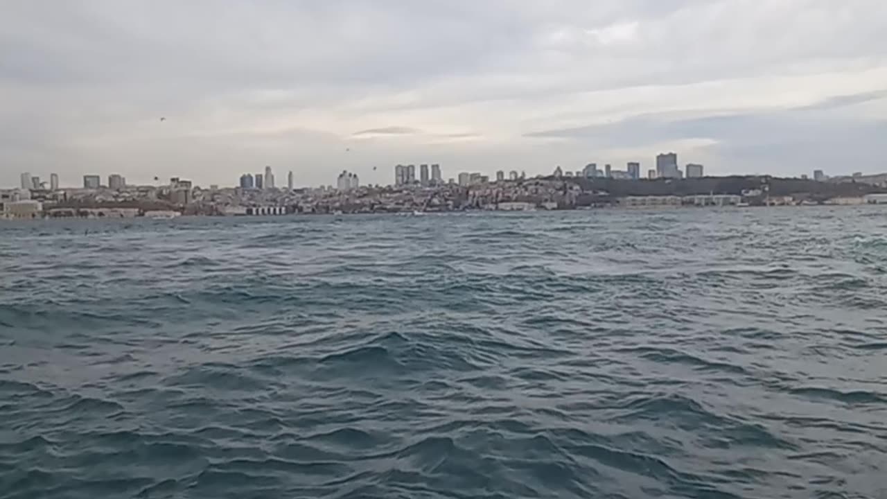 Beautiful view of birds at sea with ships