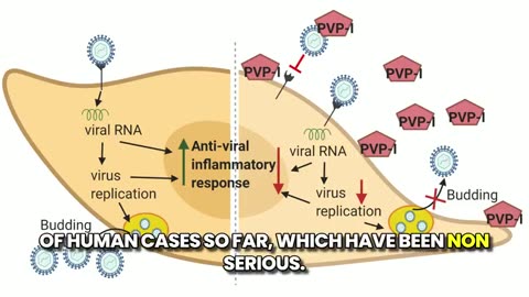 Bird Flu: Separating Fact from Fiction - Dr McCullough