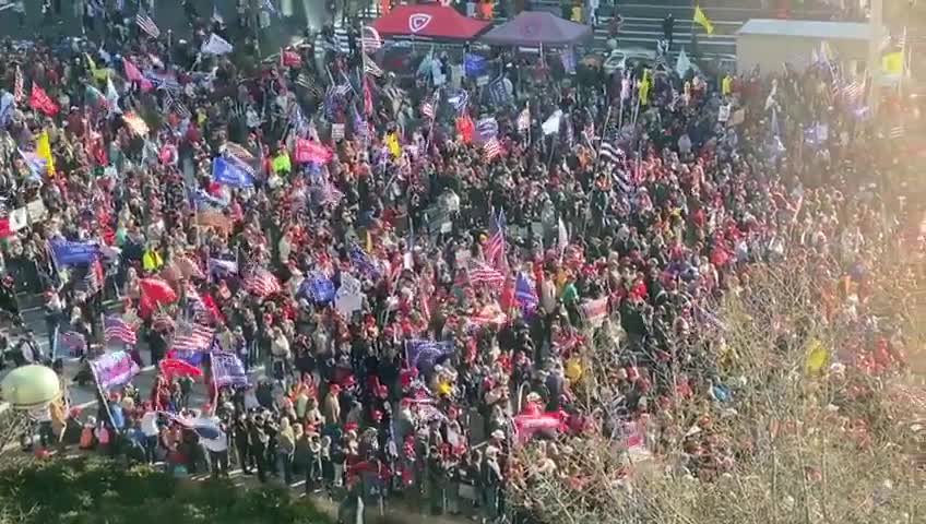 Just a handful of the MASSIVE crowd of patriots gathered in DC today to support @realDonaldTrump