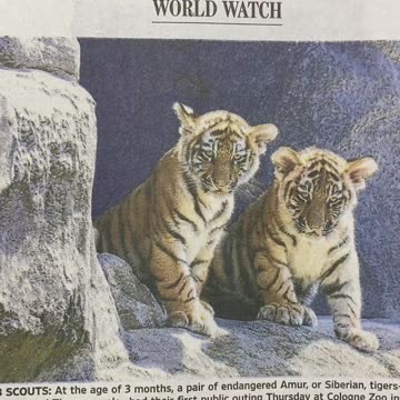 #Celebrating our #HumanSpirit