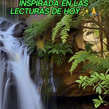 🙏✨Oración Inspirada en las Lecturas de Hoy ✨🙏
