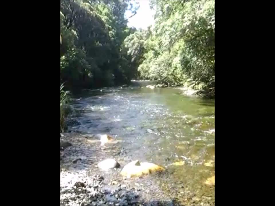 Wild trout wilderness