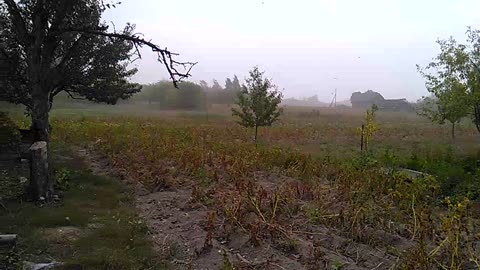 strong wind in the village