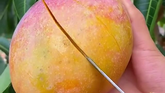 OMG 😱 skill?😋👩‍🌾#usa #fruit #asmr