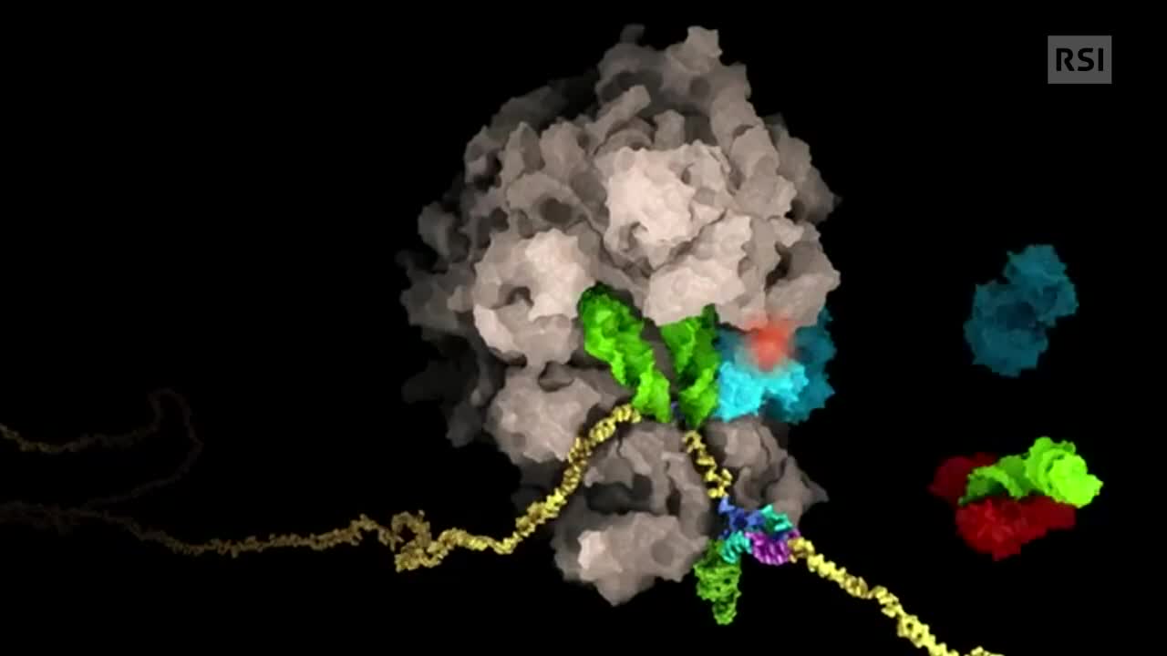 🔴 IL "tallone d'Achille" del coronavirus.