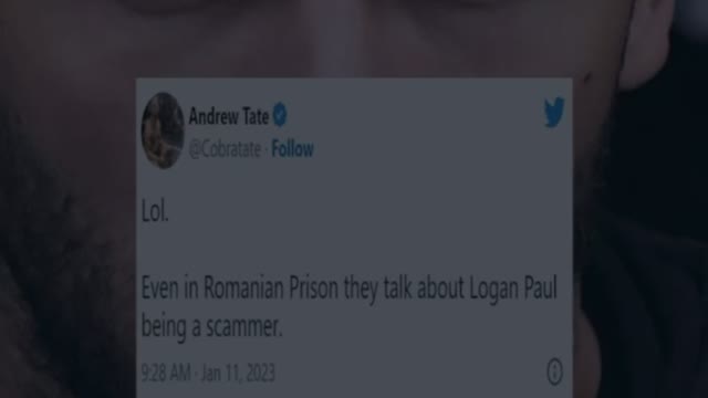 Andrew Tate calls out Logan Paul