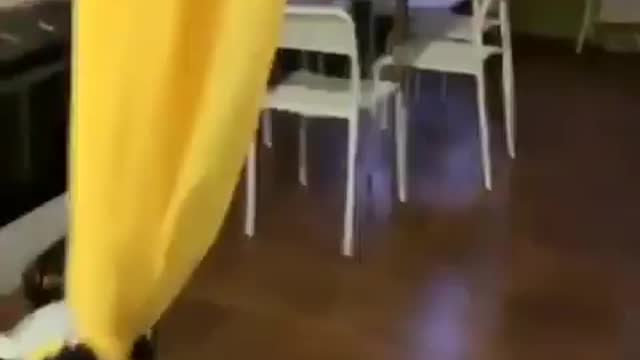 Swing swing!