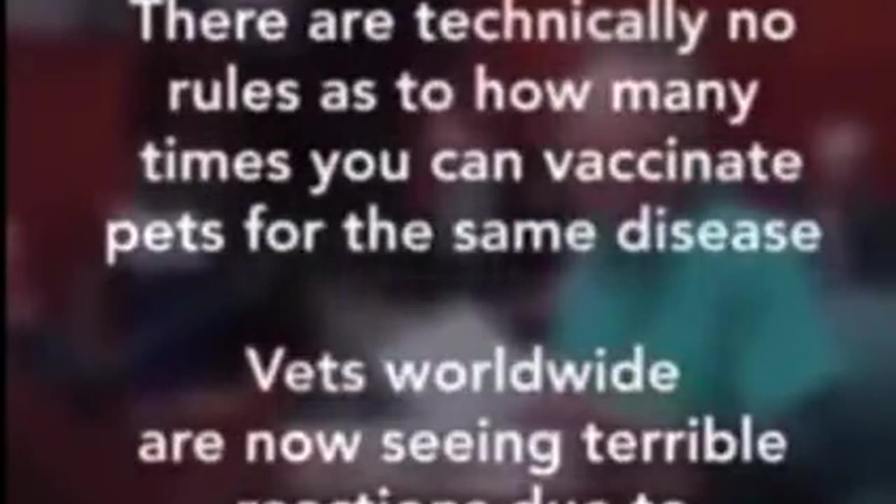 A VETERINARIAN TESTIFIES ☤ AS TO PET VACCINATIONS