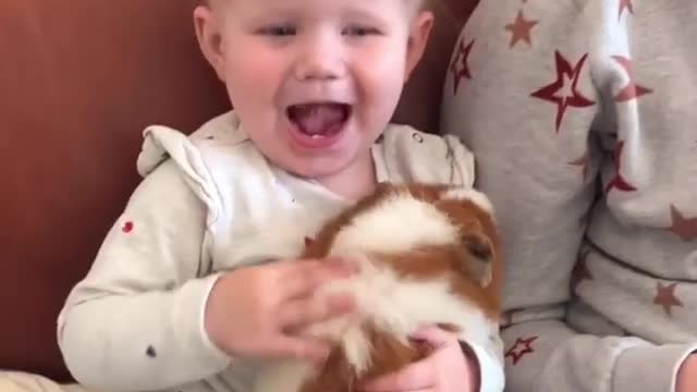 Baby playing on cat gigal