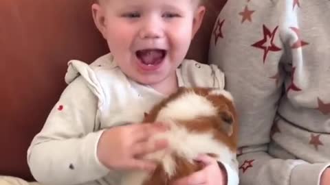 Baby playing on cat gigal